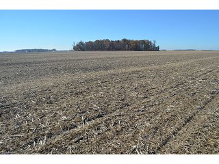 Tract 3 - FARMLAND AUCTION - 165.5+/- ACRES OFFERED IN 5 TRACTS OR COMBINATIONS IN EAST ALLEN COUNTY